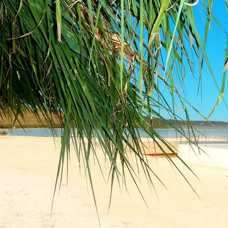 House With A Swimming Pool Ljubac, Zadar - 22537 Tatil Evi Krneza